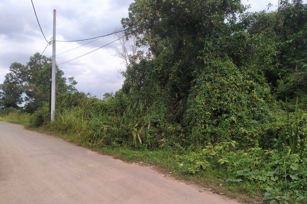 Dijual Tanah Kosong Daerah Kramasan Belakang Poltek Sriwijaya