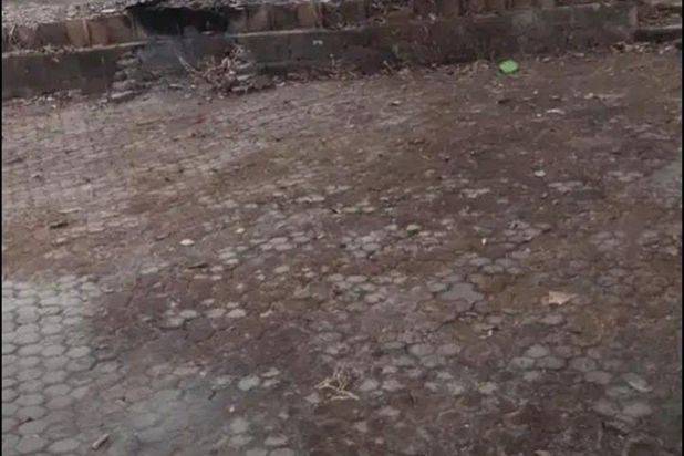 Jual Tanah di Cileungsi Bogor Letak Sangat Strategis