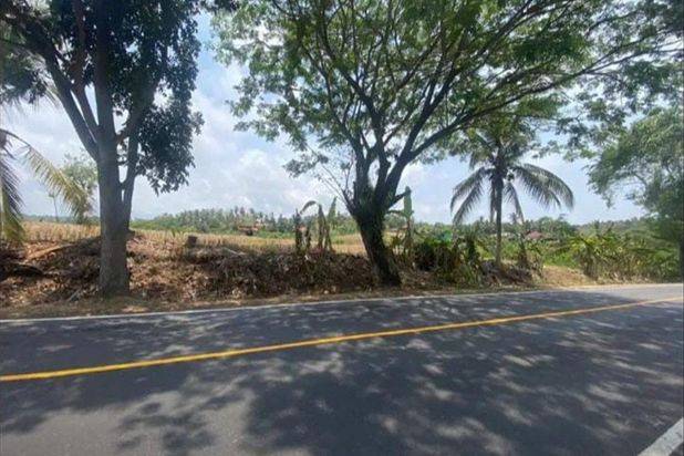 Jual Cepat Tanah Luas di Daerah Antap Selemadeg Bali