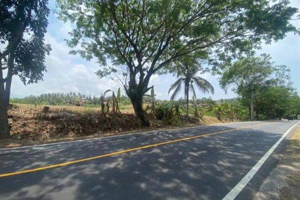 Jual Cepat Tanah Luas di Daerah Antap Selemadeg Bali