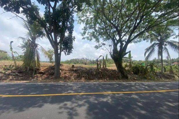 Jual Cepat Tanah Luas di Daerah Antap Selemadeg Bali