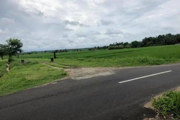 Jual Tanah Murah Sangat Bagus di Beraban Tabanan Bali