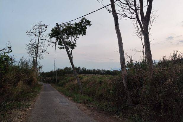 Tanah Karangploso Luas dan Murah SHM Lokasi Strategis