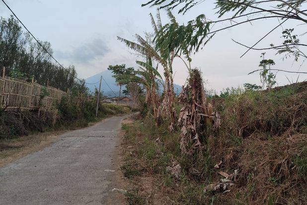 Tanah Luas dan Murah SHM Lokasi Strategis di Bocek Karangploso