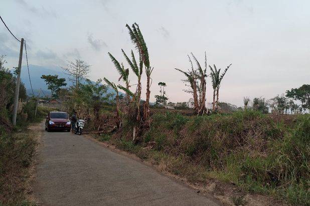 Tanah Luas dan Murah SHM Lokasi Strategis di Bocek Karangploso