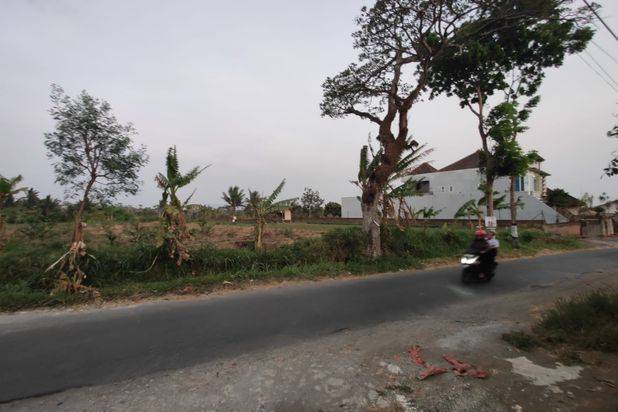 Tanah Luas dan Murah Lokasi Strategis Potensial Untuk Bisnis