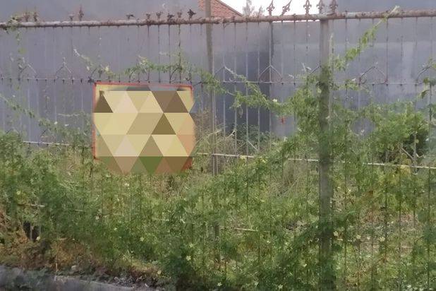 Tanah Luas Potensial Untuk Usaha Lokasi Strategis di Pusat Kota Batu