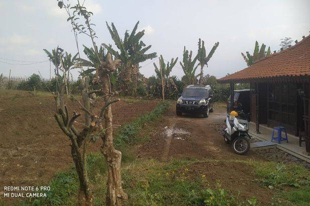 Tanah Luas dan Murah Nego Plus Rumah Joglo di Batu