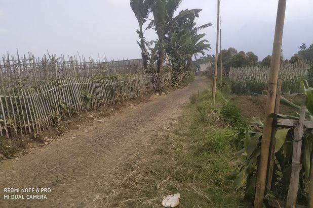 Tanah Luas dan Murah Nego Plus Rumah Joglo di Batu