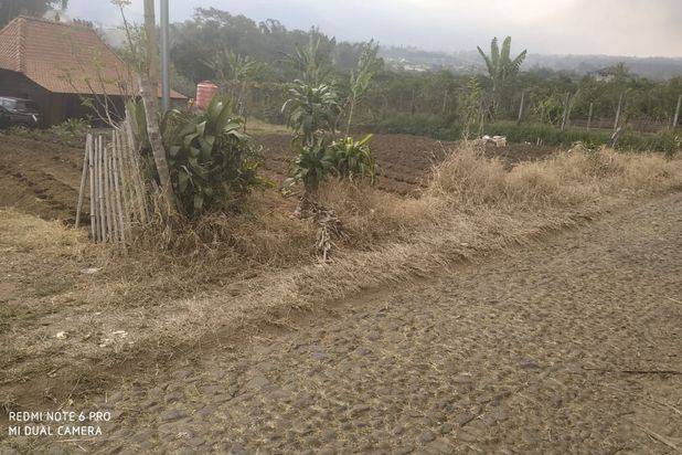 Tanah Luas dan Murah Nego Plus Rumah Joglo di Batu