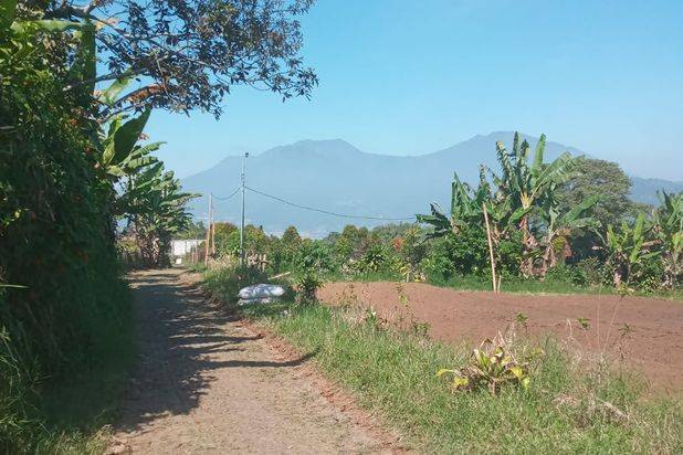 Tanah Luas dan Murah Nego Plus Rumah Joglo di Batu
