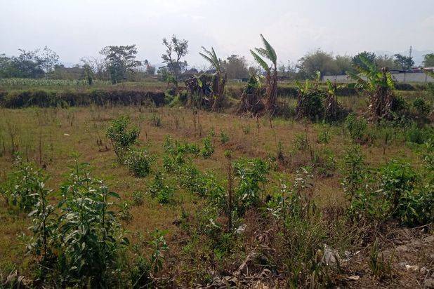Tanah Luas dan Murah Potensial Untuk Investasi Lokasi di Junrejo Batu
