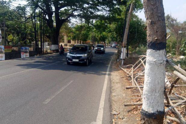 Tanah Luas dan Murah Lokasi Strategis Pinggir Jalan Utama Batu