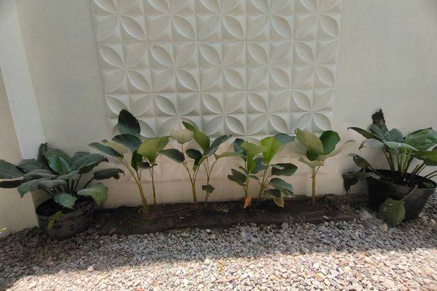 Rumah dijual JAKAL dekat Lapangan Klidon
