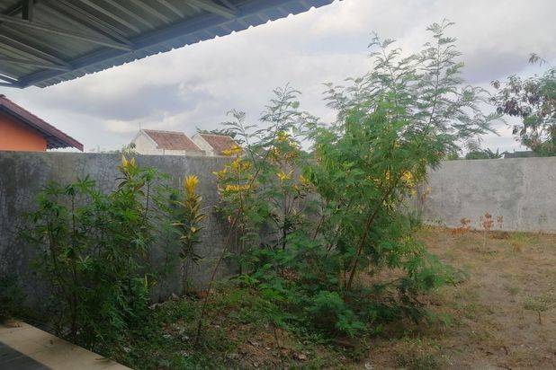 Rumah dijual PURWOMARTANI dekat Ringin Purwomartani