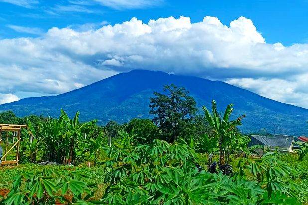 Tanah Caringin Murah Hanya 900 Rb Dekat Tol Caringin Sukabumi (Bocimi)