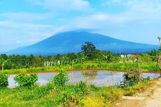 Tanah Caringin Murah Hanya 900 Rb Dekat Tol Caringin Sukabumi (Bocimi)