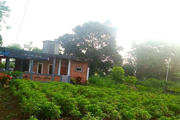 Tanah Cibungbulang Murah 165 Jt Dekat Kolam Renang Sindang Gendis