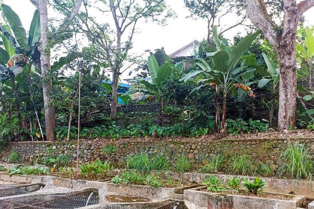 Tanah Caringin Murah Dan Luas Hanya 600 Rb Dekat Sdn Cimande 01