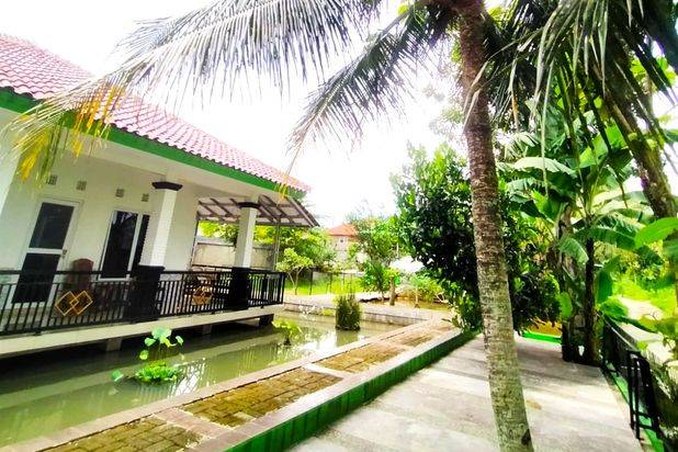 Rumah Dramaga Bogor Murah dan Asri 880 Jt Dekat Smp Pgri Cikupa