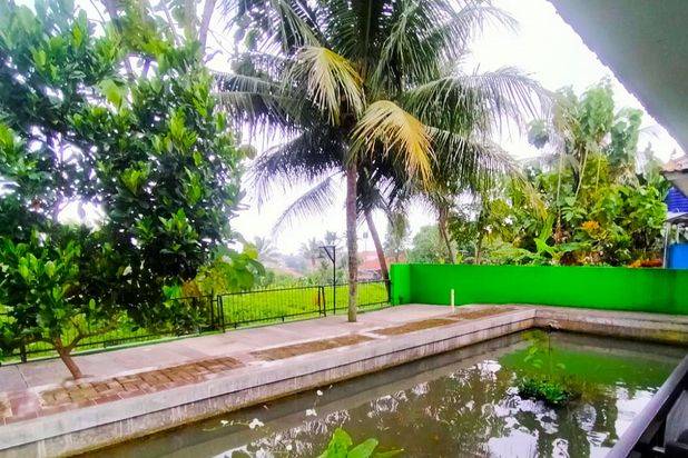 Rumah Dramaga Bogor Murah dan Asri 880 Jt Dekat Smp Pgri Cikupa