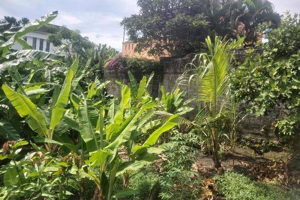 Tanah Umalas Lestari Kerobokan Bali