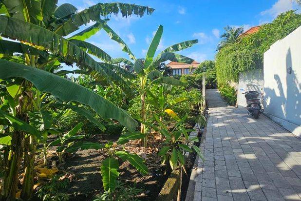 Tanah Umalas Lestari Kerobokan Bali