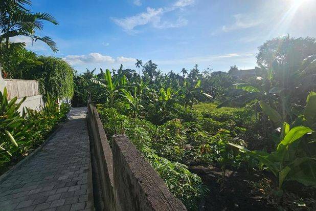 Tanah Umalas Lestari Kerobokan Bali