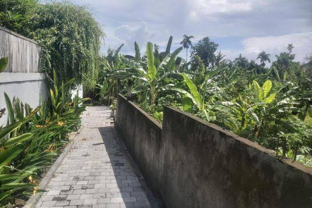 Tanah Umalas Lestari Kerobokan Bali
