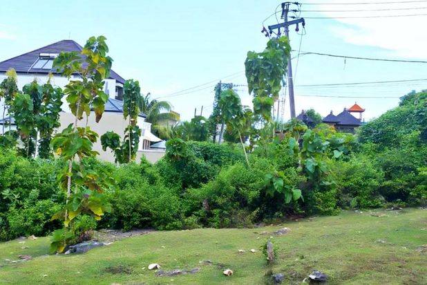Tanah Kavling Pura Masuka Ungasan Badung Bali