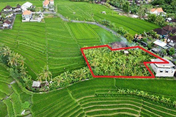 Tanah Tumbak Bayuh Mengwi Badung Bali