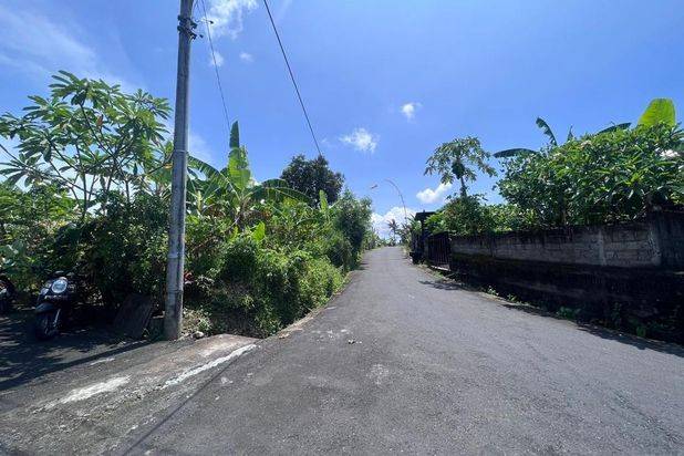 Tanah Tumbak Bayuh Mengwi Badung Bali
