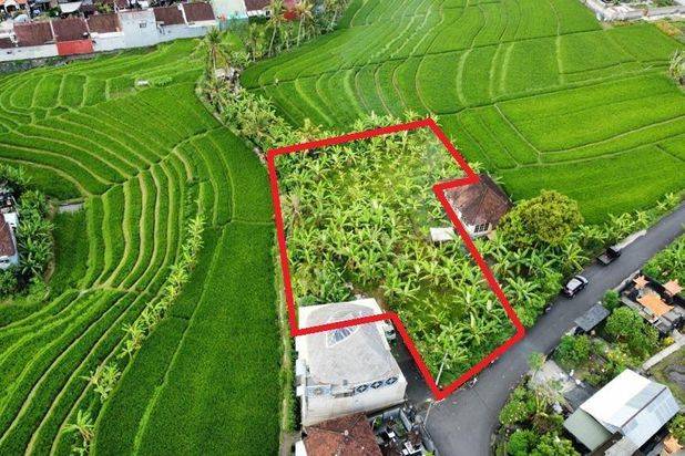Tanah Tumbak Bayuh Mengwi Badung Bali