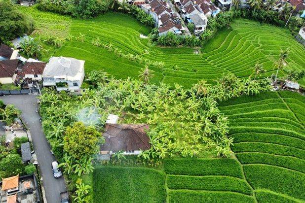 Tanah Tumbak Bayuh Mengwi Badung Bali