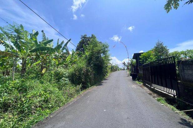 Tanah Tumbak Bayuh Mengwi Badung Bali