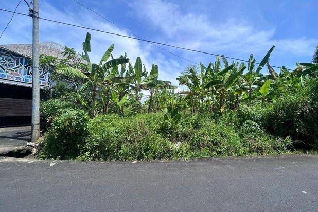 Tanah Tumbak Bayuh Mengwi Badung Bali