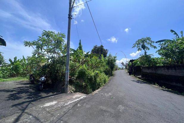 Tanah Tumbak Bayuh Mengwi Badung Bali