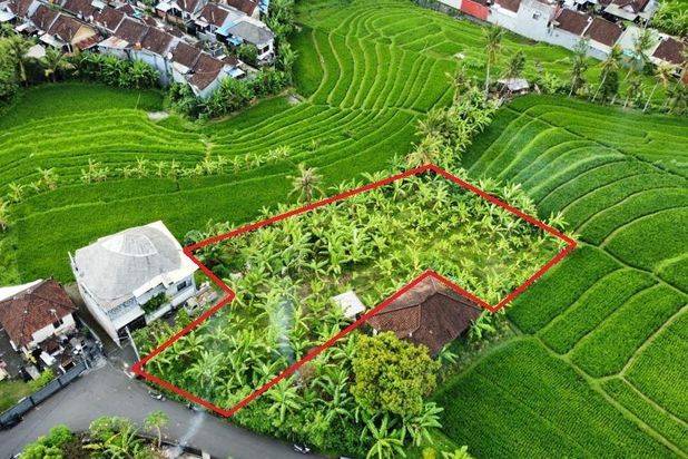 Tanah Tumbak Bayuh Mengwi Badung Bali
