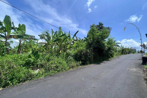 Tanah Tumbak Bayuh Mengwi Badung Bali