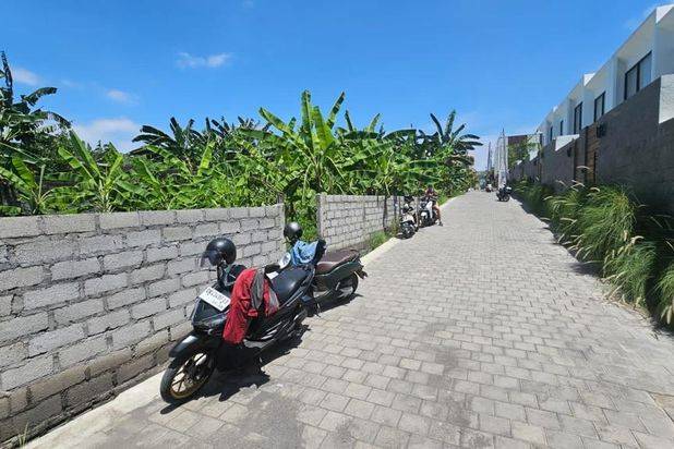 Tanah Berawa Canggu Lingkungan Villa Badung Bali