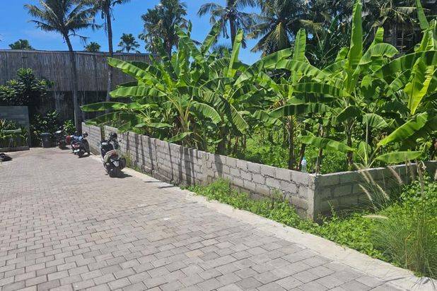 Tanah Berawa Canggu Lingkungan Villa Badung Bali