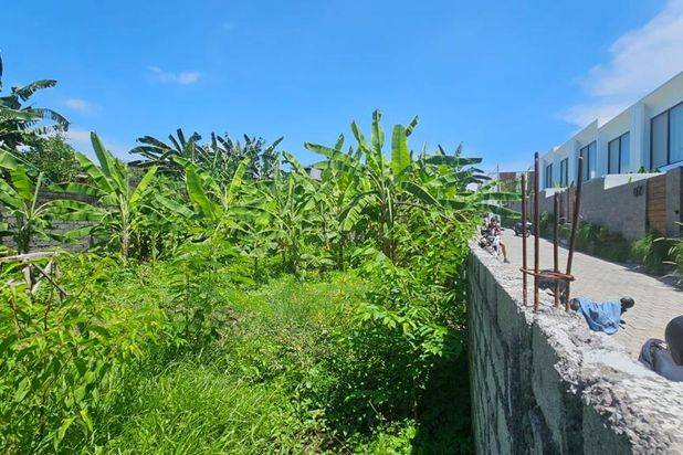 Tanah Berawa Canggu Lingkungan Villa Badung Bali