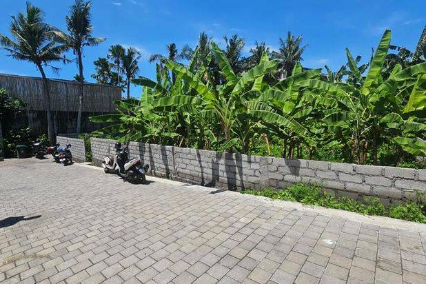 Tanah Berawa Canggu Lingkungan Villa Badung Bali
