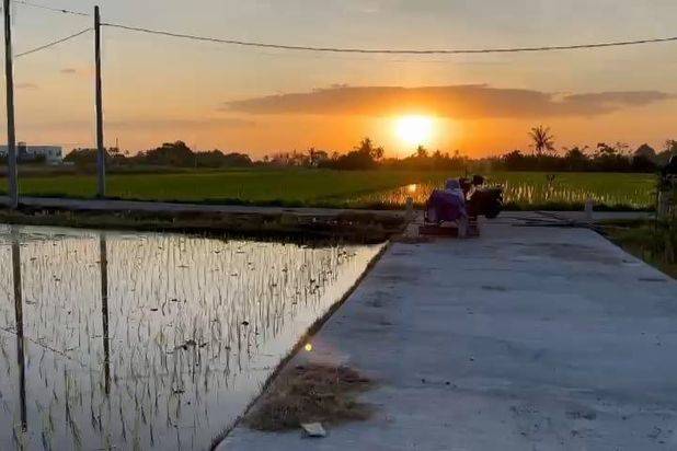 Tanah Pantai Kedungu view Sawah Kediri Tabanan Bali