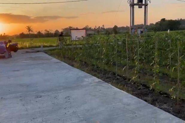 Tanah Pantai Kedungu view Sawah Kediri Tabanan Bali