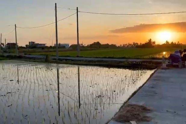 Tanah Pantai Kedungu view Sawah Kediri Tabanan Bali