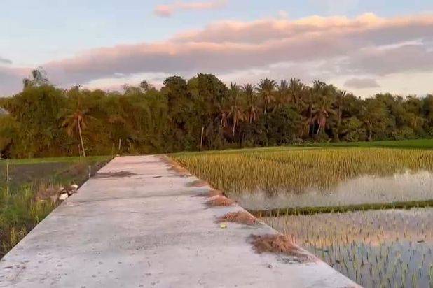 Tanah Pantai Kedungu view Sawah Kediri Tabanan Bali