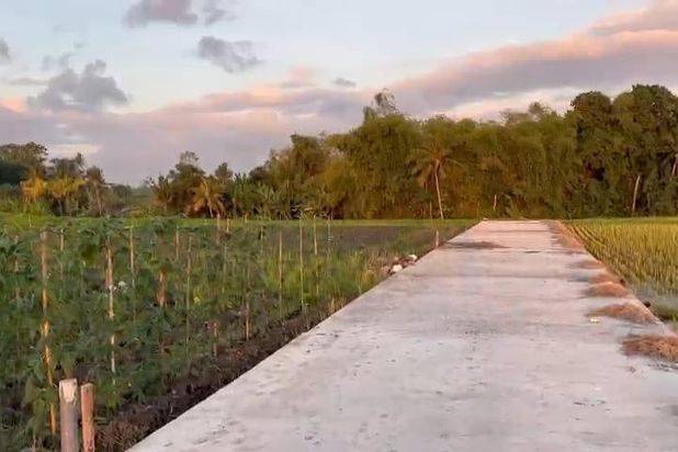 Tanah Pantai Kedungu view Sawah Kediri Tabanan Bali