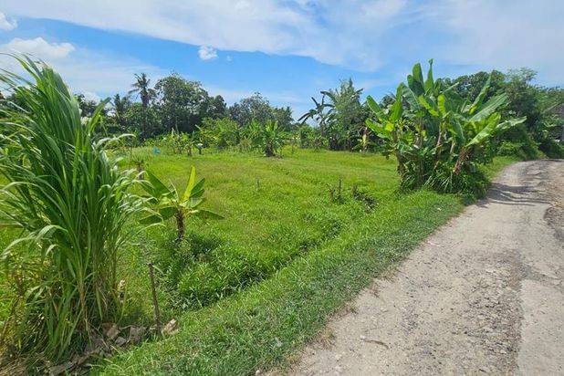 Tanah Pantai Nyanyi Beraban Kediri Tabanan Bali