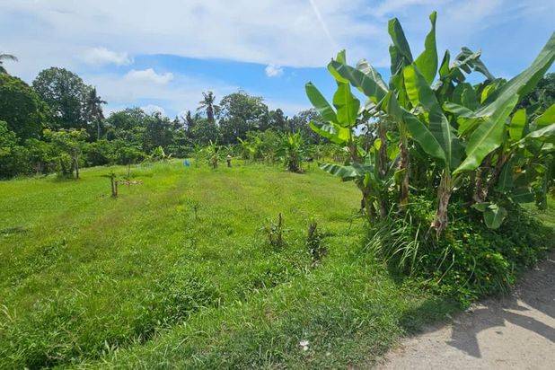 Tanah Pantai Nyanyi Beraban Kediri Tabanan Bali